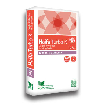 Fertilizante mineral - Turbo-K™  - Haifa North West Europe - NPK / rico en boro / rico en hierro