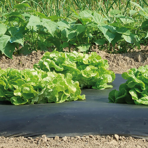 Film de acolchamiento - Vilmorin Jardin (Vilmorin Garden/ VDB) - de plástico / biodegradable