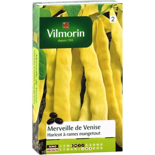 Semilla de haba tardía - Merveille de Venise - Vilmorin Jardin (Vilmorin Garden/ VDB) - trepadora / amarilla