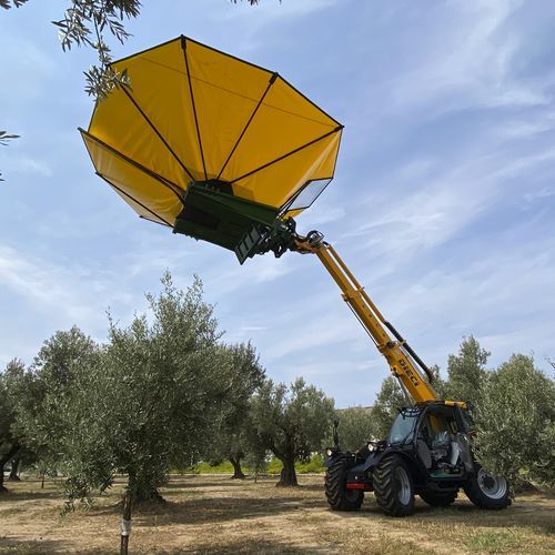 Vibradora para árboles de aceitunas - Sicma & Agri Farmer 30.7 Dieci - SICMA srl - autopropulsada / hidráulica / árbol de tronco bajo