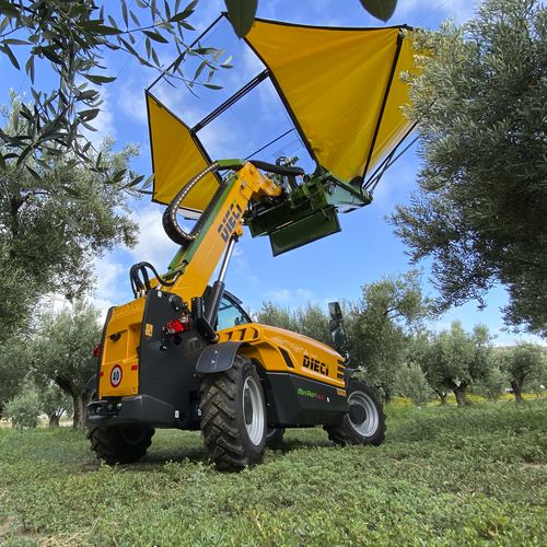 Vibradora para árboles de aceitunas - Sicma & MINIAGRI 26.6 Dieci - SICMA srl - autopropulsada / hidráulica / árbol de tronco bajo