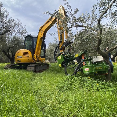 Cosechadora para miniexcavadora - SICMA srl - de aceitunas / para frutos de cáscara