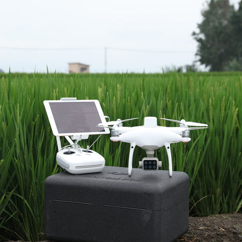 Dron agrícola de ala rotatoria - DJI PHANTOM 4 MULTISPECTRAL - Aermatica3D srl (AERMATICA3D) - octorrotor