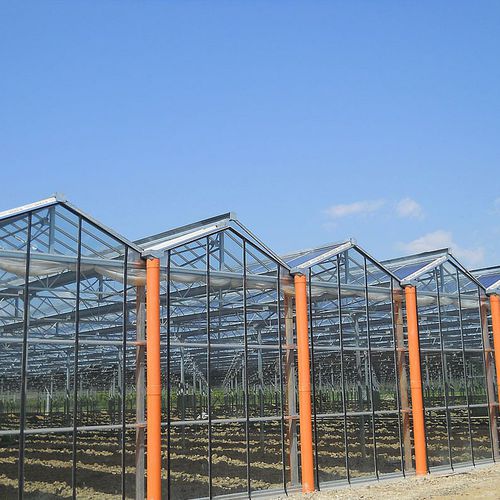 Invernadero multicapilla - STO  - Artigianfer SRL - de vidrio / con canalón / con panel solar