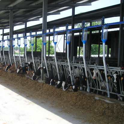 Equipo de alimentación para vacas - LA MECCANICA SNC - de cadena / de tubos