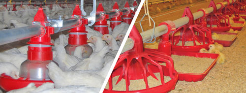Equipo de alimentación para aves de corral - NUTRAPAN™, E-FEEDER™ - CUMBERLAND - de tubos