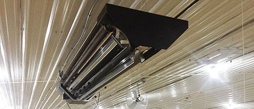 Aerotermo eléctrico - AV2 Series  - CUMBERLAND - de gas / suspendido / para gallinero