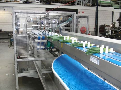 Línea de producción hortícola de siega - Koppert Machines - automática