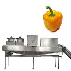 Estación de lavado para fruta - Buitendijk-Slaman B.V. - automática / con cepillo