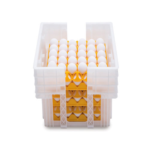 Caja para huevos para paso - Ovobox - ARION FASOLI SRL - para huevos de gallina / de plástico