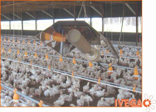 Lámpara infrarroja para polluelos - Sistemas de calefaccion a gas IVEGA - IVEGA-DOTEX S.A. - de infrarrojos