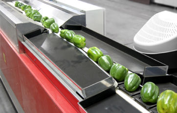 Calibradora - CaliTWIST C158 - Caustier By STC