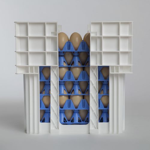 Cajón para huevos para paso - EggsCargoSystem&reg; - GI-OVO B.V. - para huevos de gallina / de plástico