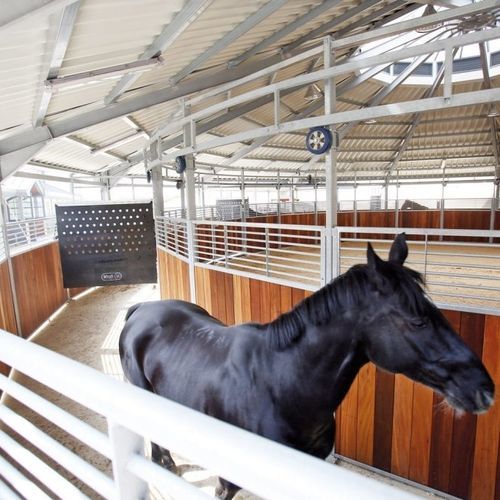caminador para caballos redondo - Kraft