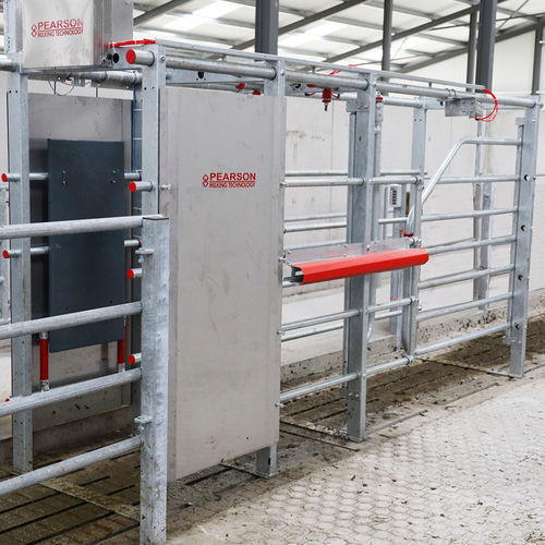 Puerta selectora para vacas - Pearson International - automatizada