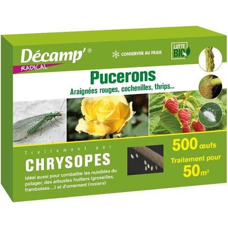 Crisopa contra los trips - chrysope - décamp' radical - pulgón / cochinilla / larva