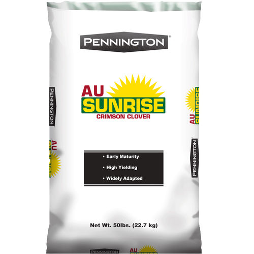 Forraje de trébol - AU SUNRISE CRIMSON - pennington - restitución de nitrógeno / leguminosa