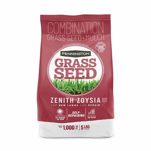 Semillas De Césped Grama Zoysia Japónica - Semillas Batlle - Huerto Y