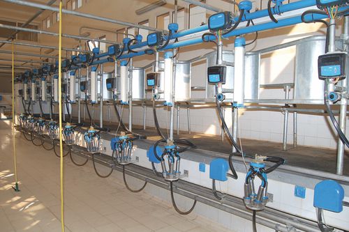 sala de ordeño en batería - Milkline NG SpA