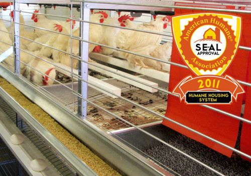 Sistema para la cría de pollos de carne con jaulas - VERSA® - choretime