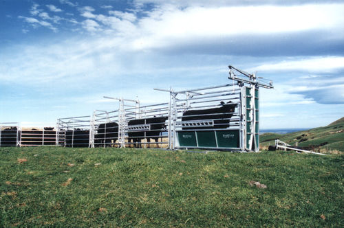 Barrera para la ganadería - prattley - de contención / para vacas / de aluminio