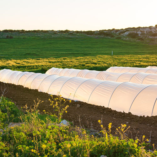 Funda protectora para túnel - Polypropylene nonwoven tunnel film - Innovative Nonwoven Solutions
