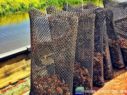 Malla ostrícola de crecimiento - aquaculture cage