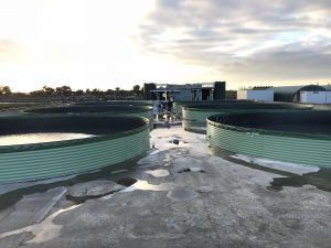 Cuba de agua - divaplastiques - de acero galvanizado / para la piscicultura / para almacenamiento
