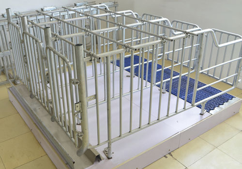 Jaula de gestación con suelo alistonado - Gestation stall_1 - Qingdao Deba Brother Machinery Co.,Ltd