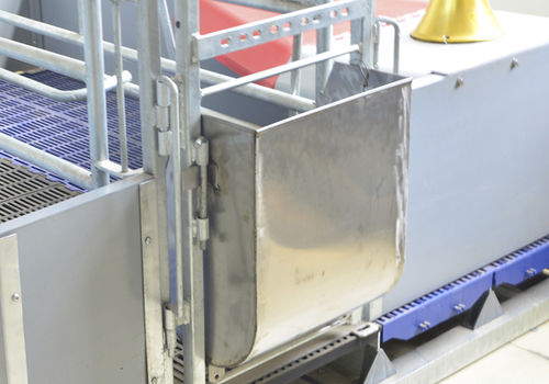 Comedero para cerdas - 33102 - Qingdao Deba Brother Machinery Co.,Ltd - de acero inoxidable / individual