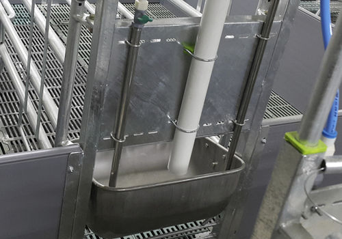 Comedero para cerdas - 33103 - Qingdao Deba Brother Machinery Co.,Ltd - de acero inoxidable / individual