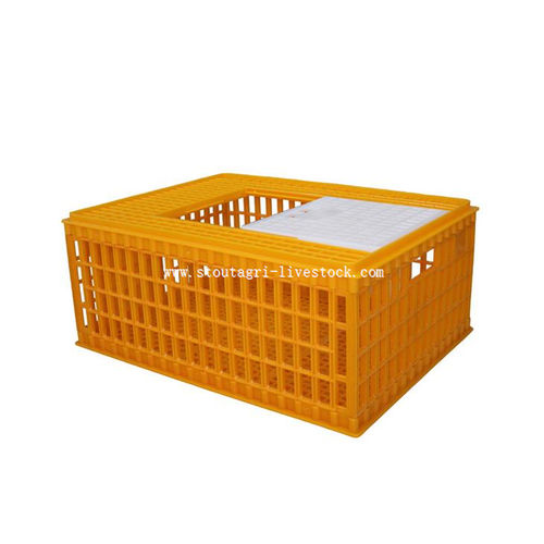 Cajón de transporte para pollos 440505 StoutAgri de plástico
