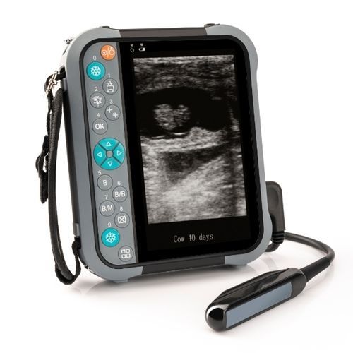 Ecógrafo veterinario en blanco y negro - M5V - Shenzhen Well.D Medical Electronics - de mano / para animales grandes / lineal