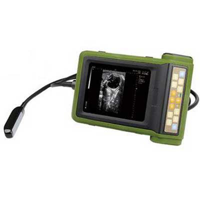 Ecógrafo veterinario de mano - RKU-10 Vet  - Diagnostic Imaging Systems - alimentado por batería