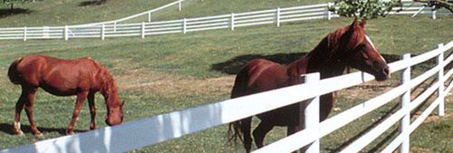 Barrera de prado - telehorse - de estabulación / para caballos / de PVC