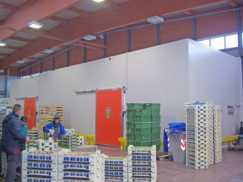 Caja-palé para frutas - MONTI & C Tecnologie del Freddo S.r.l. - de hortalizas / de plástico