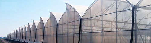 Invernadero multitúnel - APA series - NOVAGRIC (Novedades Agrícolas, S.A.) - de plástico / permanente