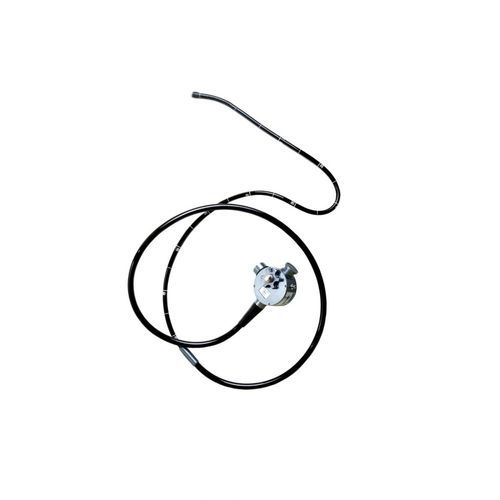 Endoscopio veterinario flexible - optomed - para equinos / nasal