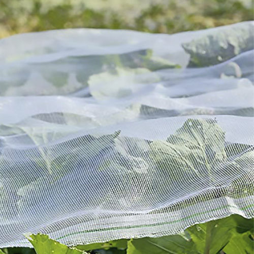 Red antiinsectos - AGRONEW CO., LTD - de PEAD