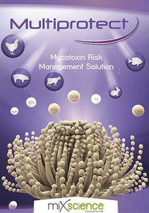 Aditivo alimentario adsorbente de micotoxinas - Multiprotect Y - MiXscience - para aves de corral / para porcinos / para bovinos