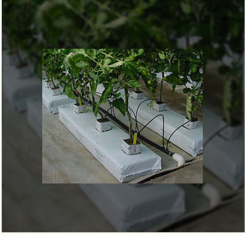 Sustrato turba de coco - Kiyolanka Coco Products PVT LTD - en saco
