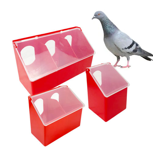 Comedero con bebedero - Cangzhou Phoenix Breeding Equipment Co., Ltd. - para palomas / de plástico