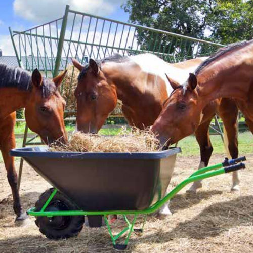 Carretilla eléctrica - MOTO - ROTO PAVLINJEK d.o.o.