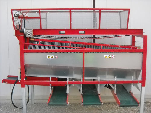 Seleccionadora de remolachas - MENEGUZZO Srl - de tambor / automática