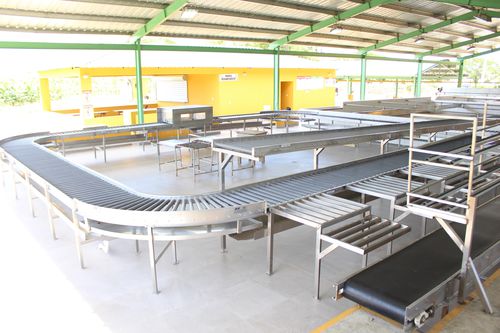 Transportador para fruta - Grupo Industrial Herrera - de rodillos