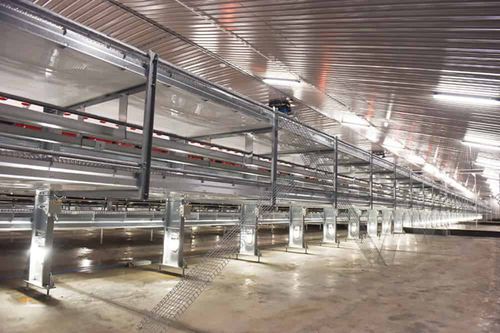 Sistema aviario sin jaula - Open Aviary - POTTERS POULTRY LTD - para gallinas ponedoras / 2 niveles / de interior