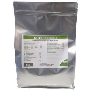 Complemento alimenticio para animales - NUTRI'DRENCH - NUTRI-CONCEPT - para bovinos / en polvo / para la digestión