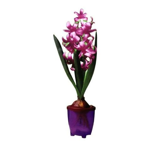 Maceta decorativa - Bulbera - Dripalia, S.L. - de plástico / redonda