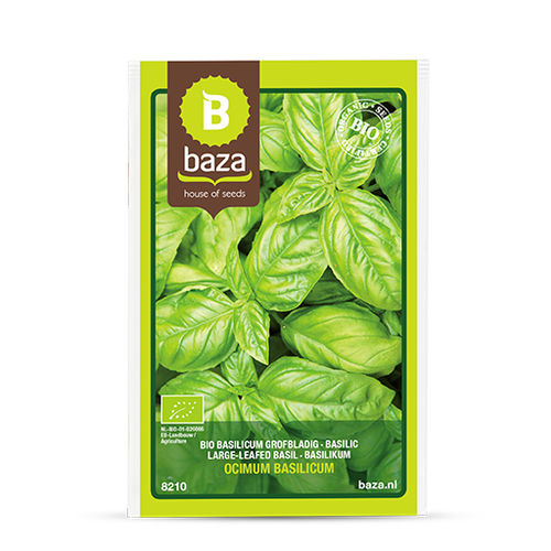 Semilla de albahaca de otoño - 8210 - BAZA Seeds Holland b.v. - biológica