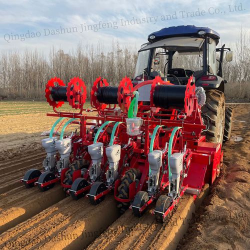 Sembradora de precisión de rábanos - 2BS-6H - Qingdao Dashun Jingfeng Agricultural Machinery Co., Ltd. - neumática / 6 hileras / cultivo de hortalizas